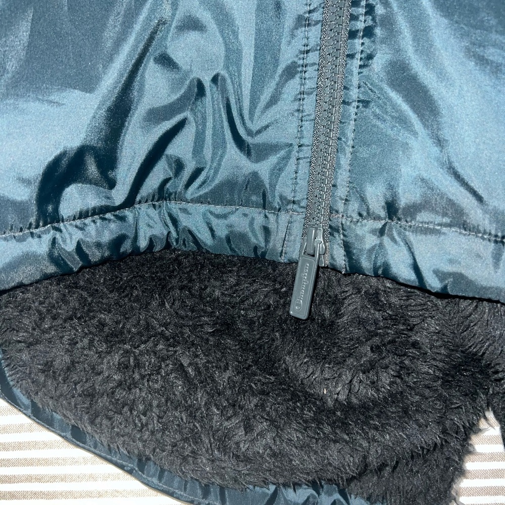 Champion - Picture 6 of 7